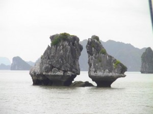 halong-bay-cock-fighting.jpg