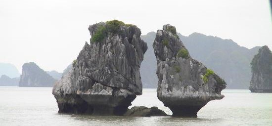 halong-bay-cock-fighting.jpg